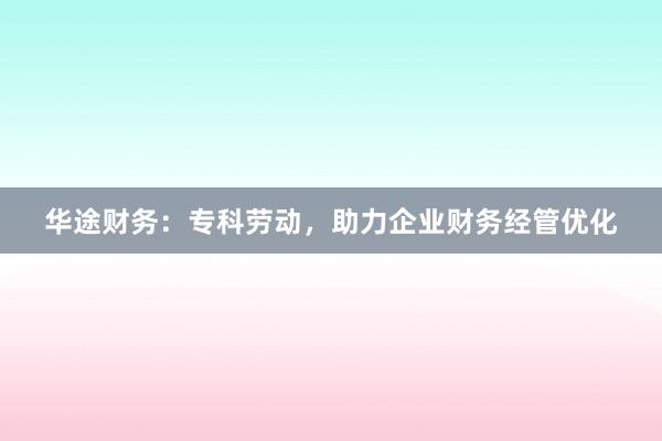 华途财务：专科劳动，助力企业财务经管优化