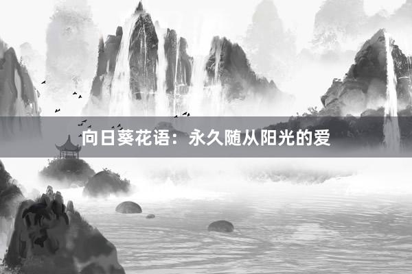 向日葵花语：永久随从阳光的爱