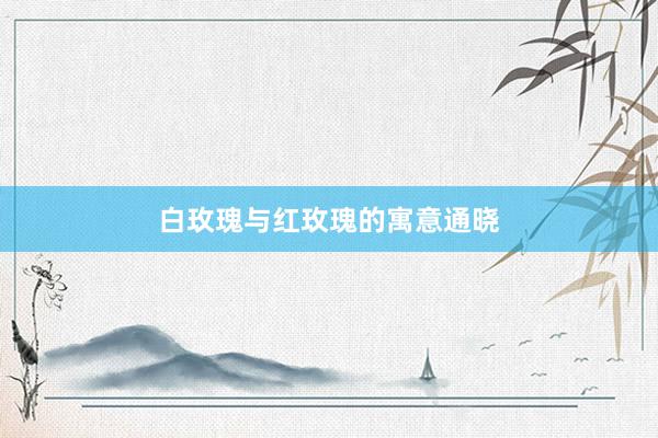 白玫瑰与红玫瑰的寓意通晓