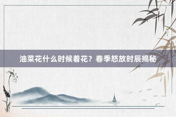 油菜花什么时候着花？春季怒放时辰揭秘